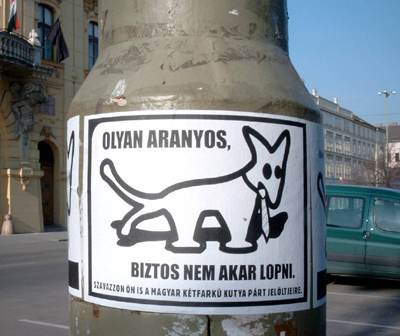 kutya